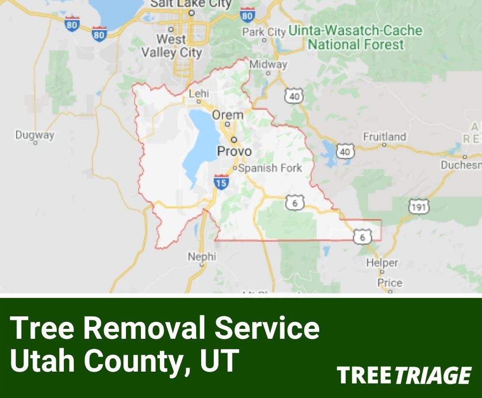 Tree Removal Service Utah County, UT-1(1)