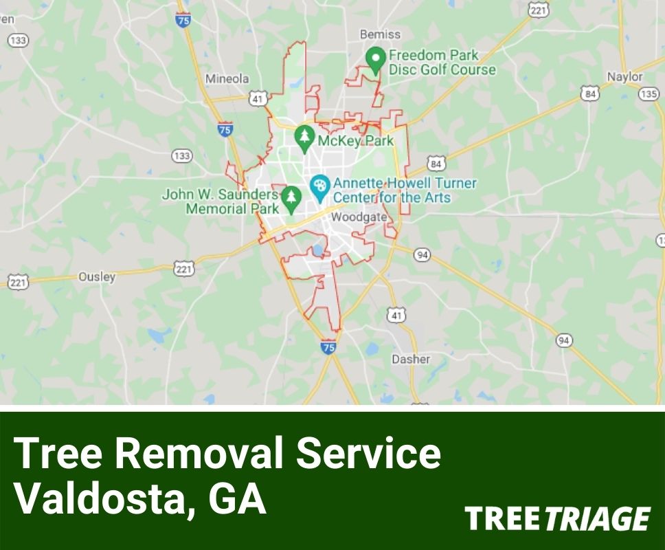 Tree Removal Service Valdosta, GA-1