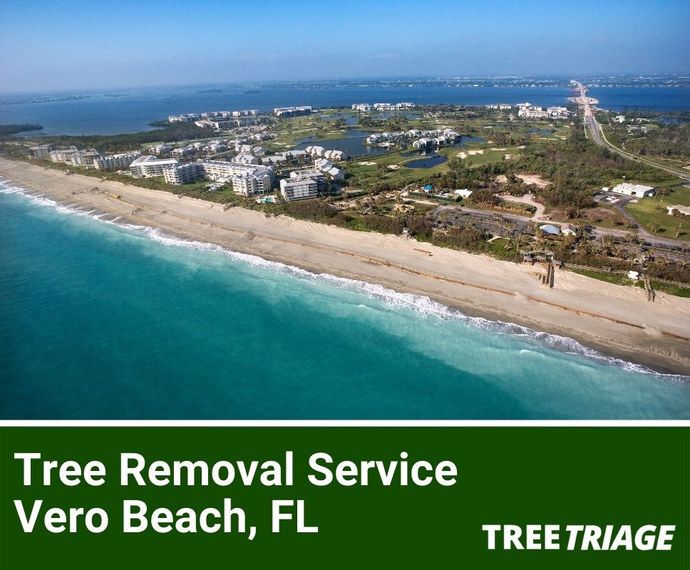 Tree Removal Service Vero Beach, FL-1