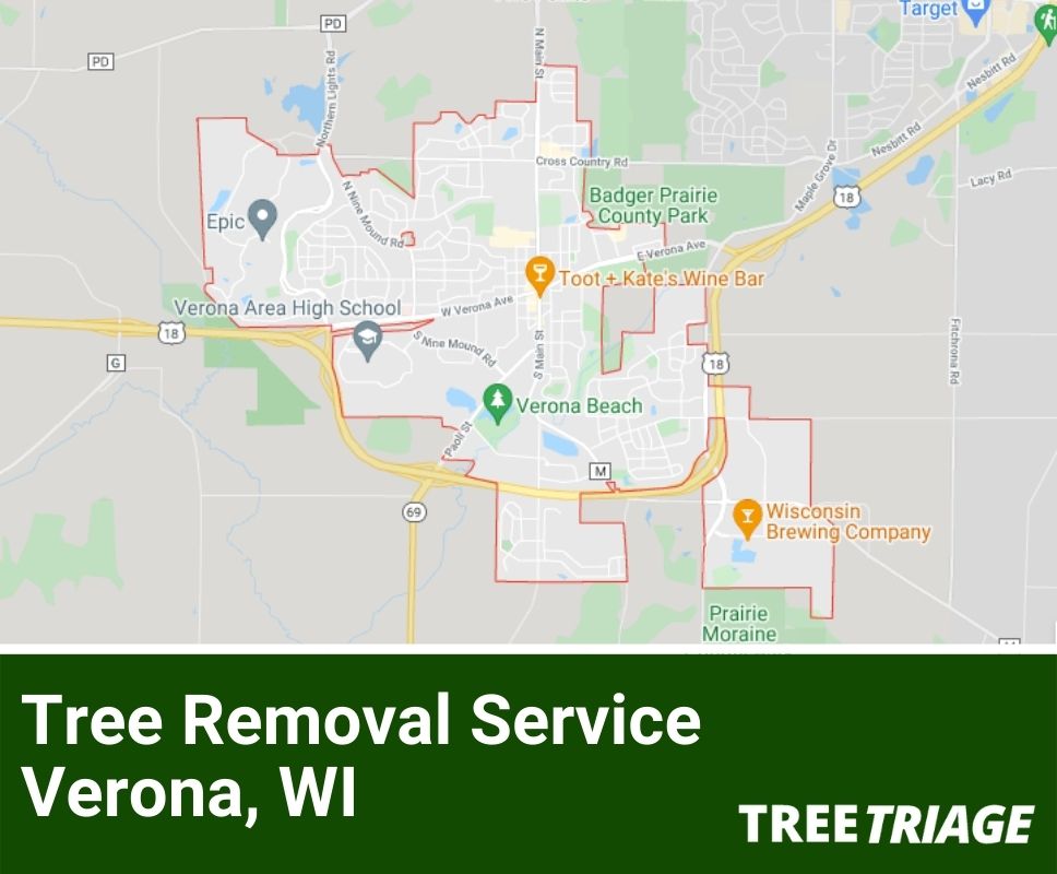 Tree Removal Service Verona, WI-1
