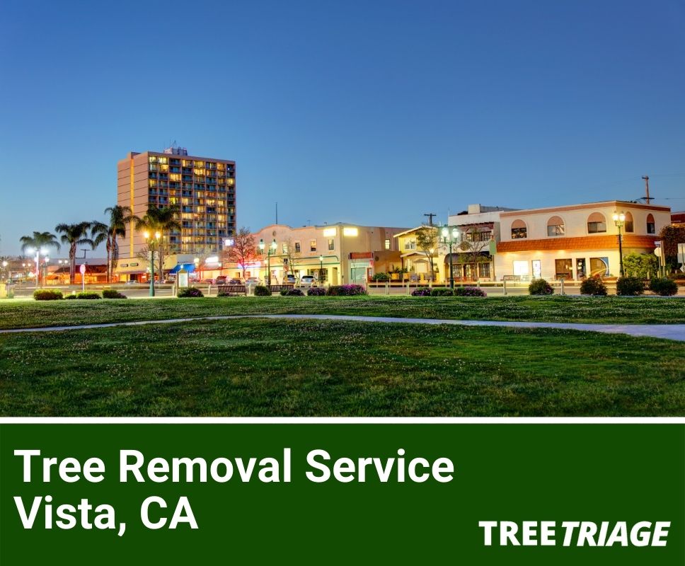 Tree Removal Service Vista, CA-1