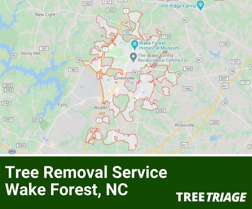 Tree Removal Service Wake Forest, NC-1