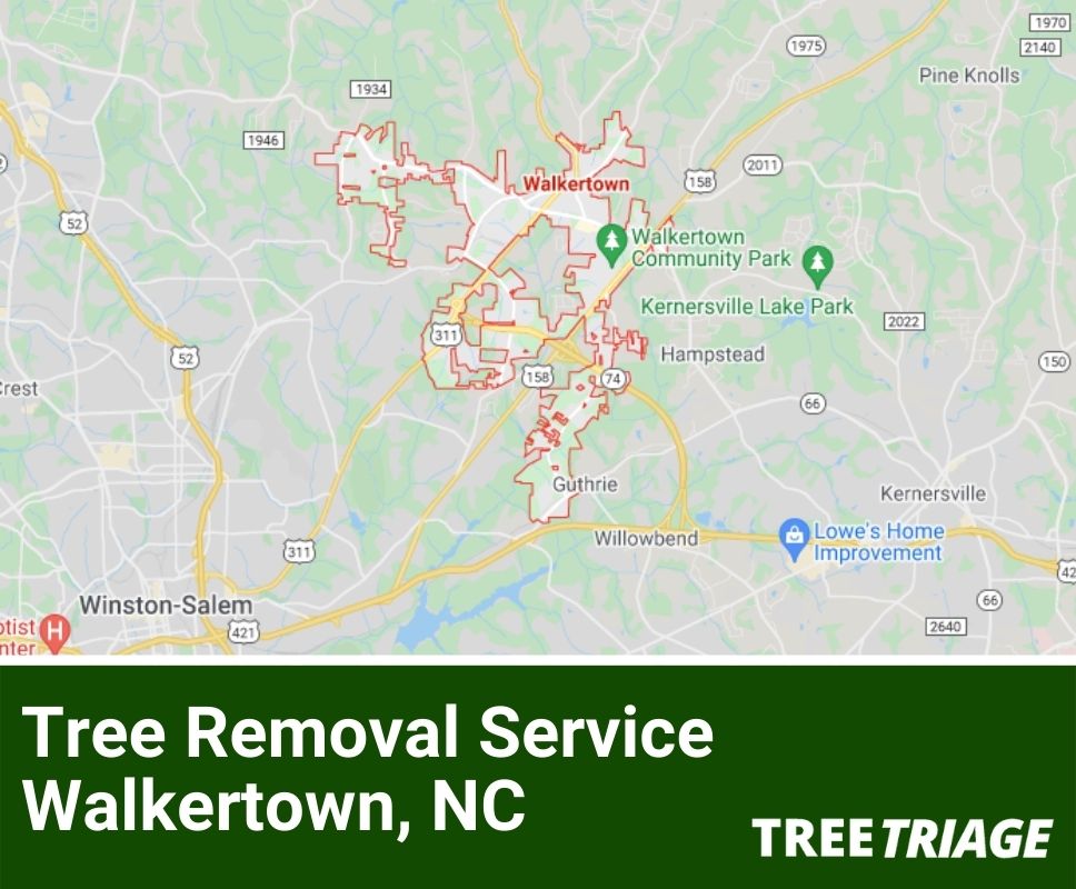 Tree Removal Service Walkertown, NC-1