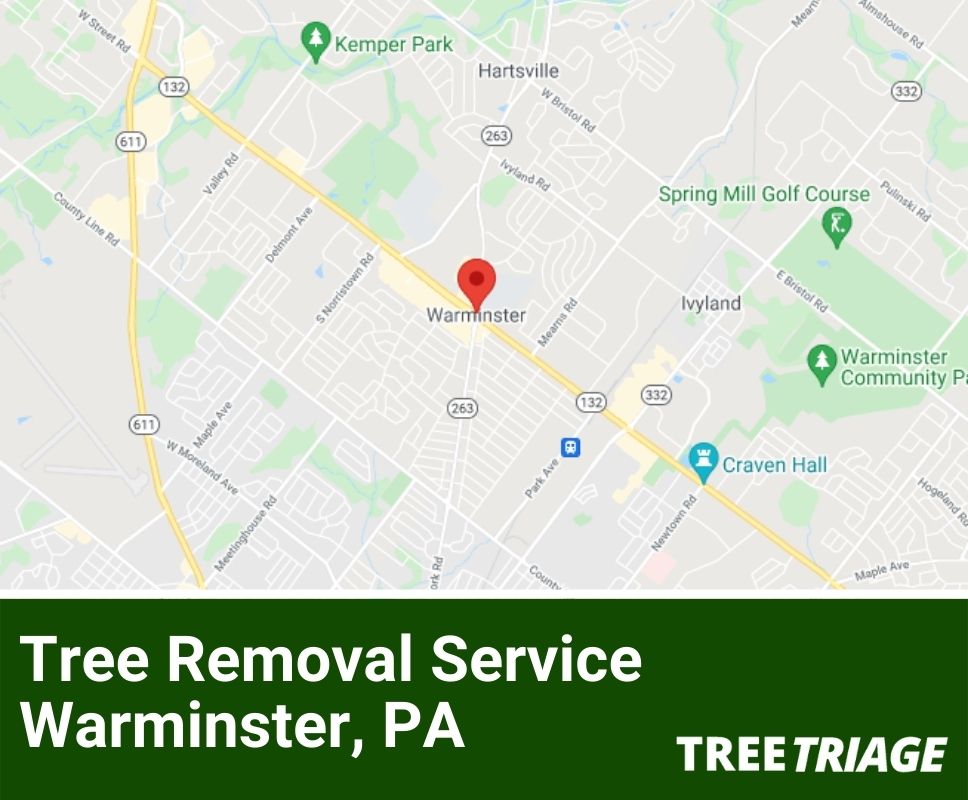 Tree Removal Service Warminster, PA-1