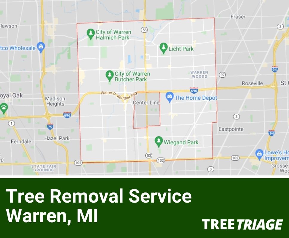 Tree Removal Service Warren, MI-1