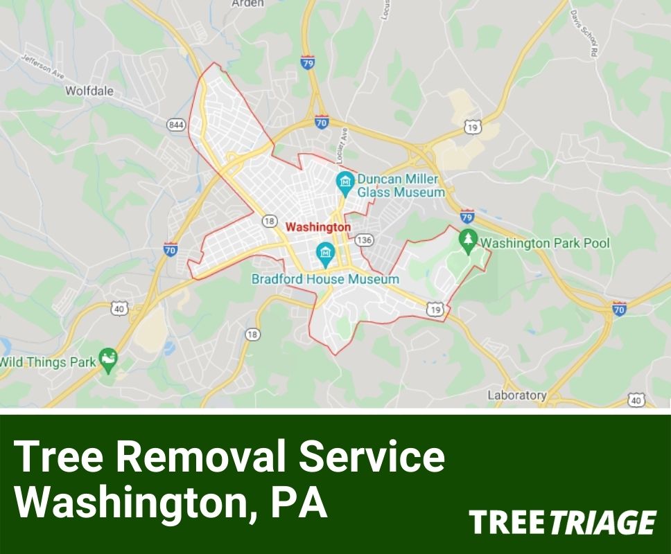 Tree Removal Service Washington, PA-1(1)