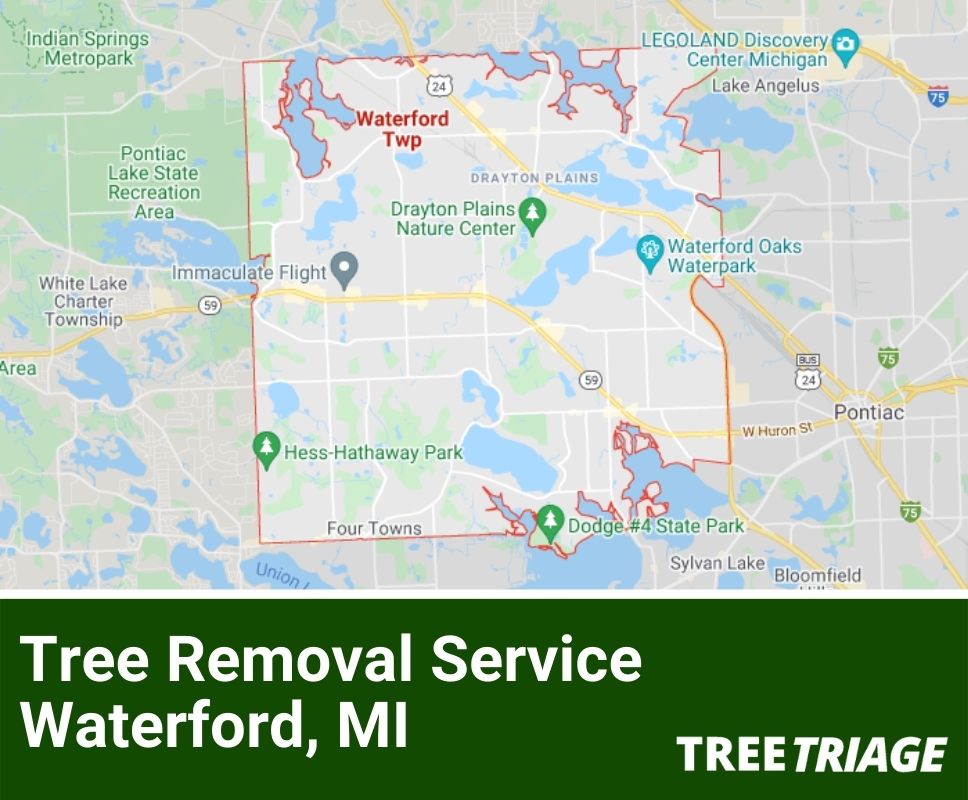 Tree Removal Service Waterford, MI-1
