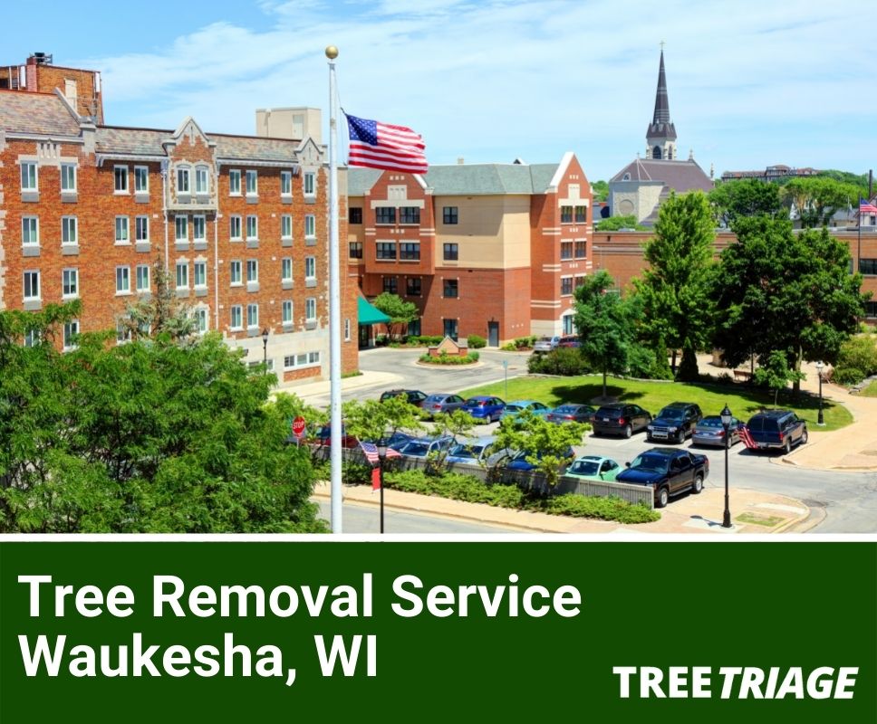 Tree Removal Service Waukesha, WI-1