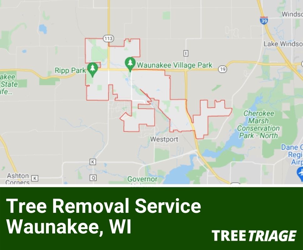 Tree Removal Service Waukesha, WI-1(1)