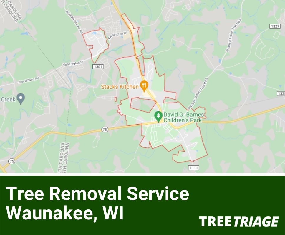 Tree Removal Service Waukesha, WI-1(2)