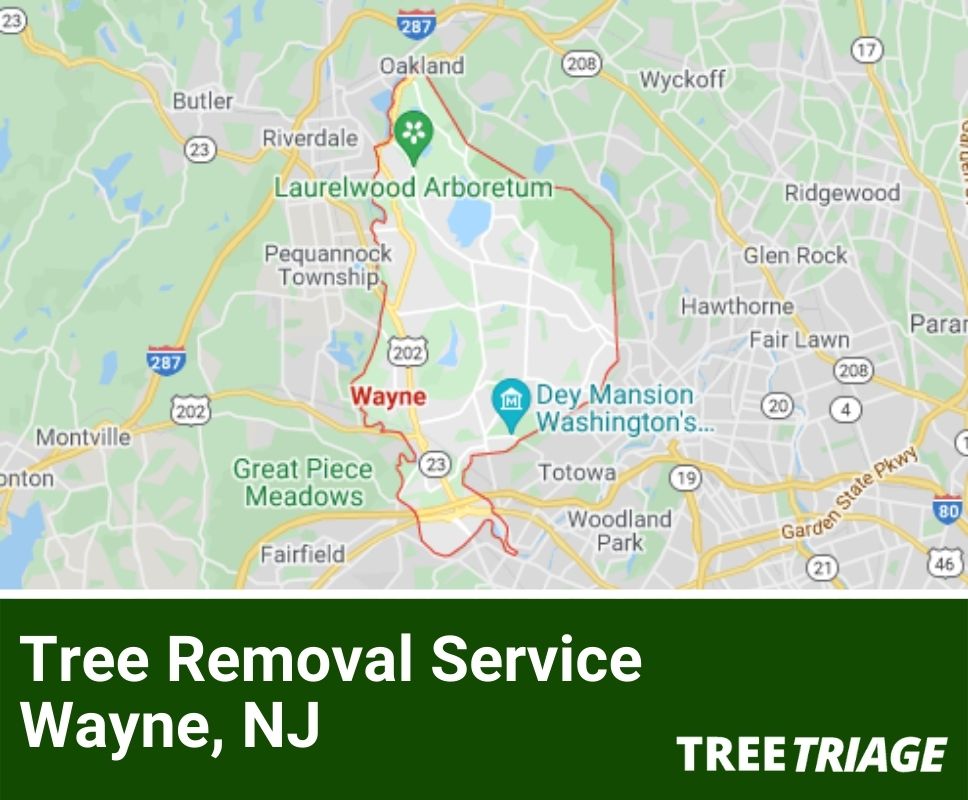 Tree Removal Service Wayne, NJ-1