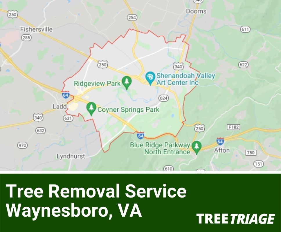 Tree Removal Service Waynesboro, VA-1