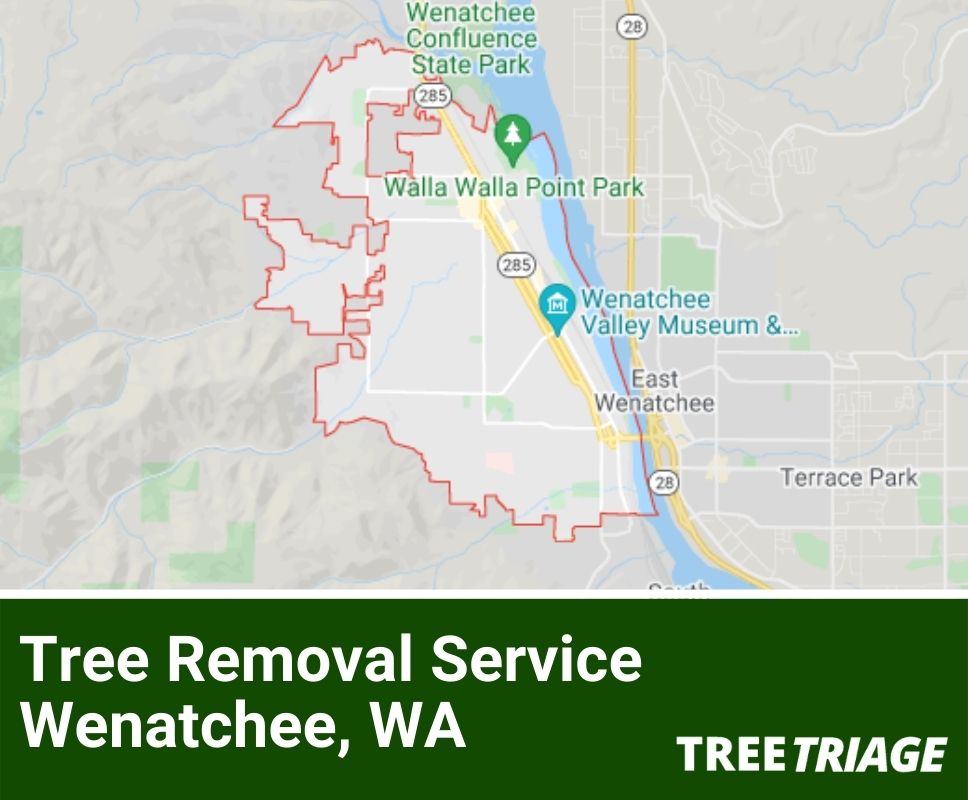 Tree Removal Service Wenatchee, WA-1