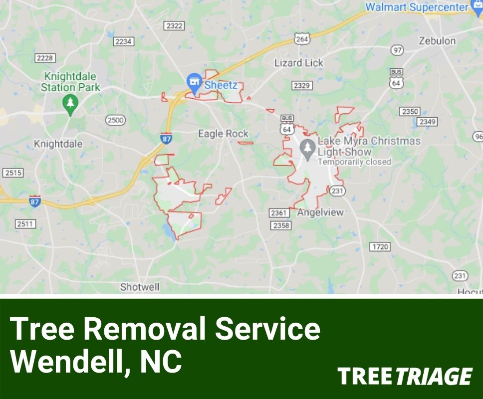 Tree Removal Service Wendell, NC-1