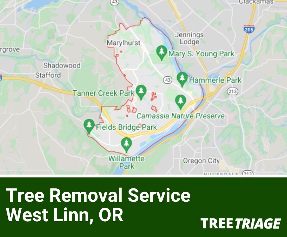 Tree Removal Service West Linn, OR-1
