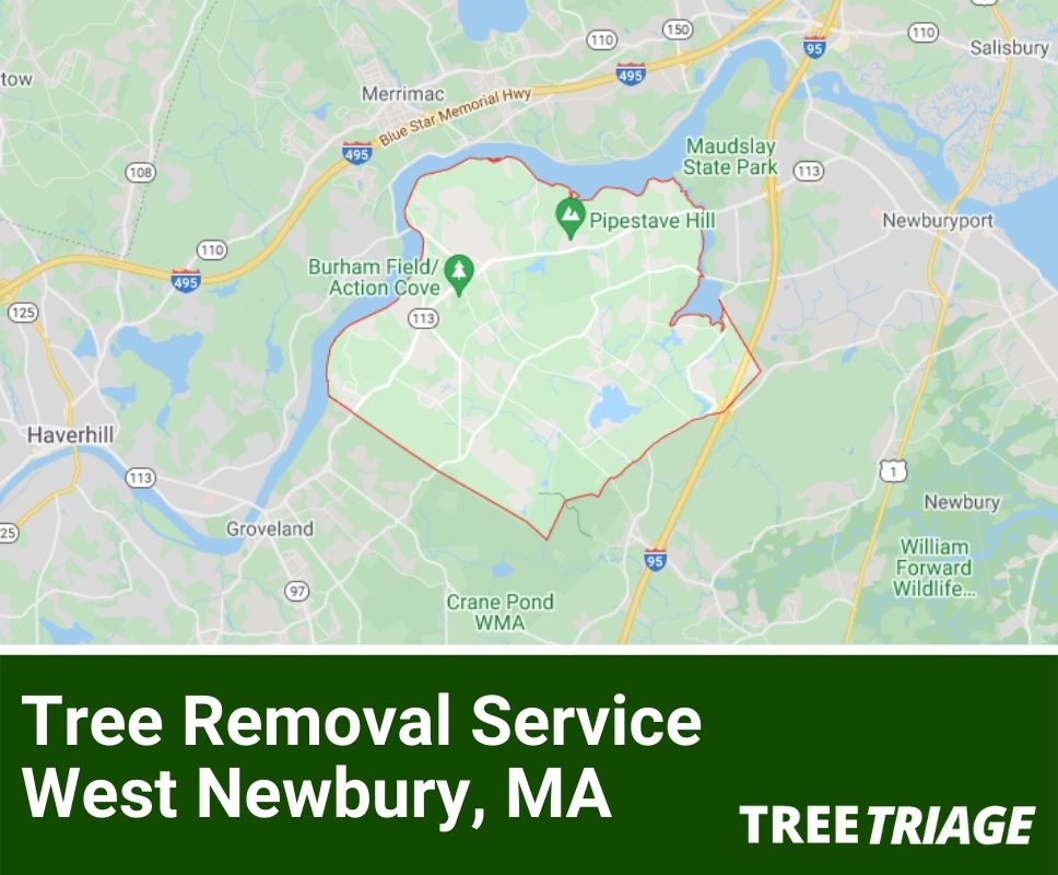 Tree Removal Service West Newbury, MA-1