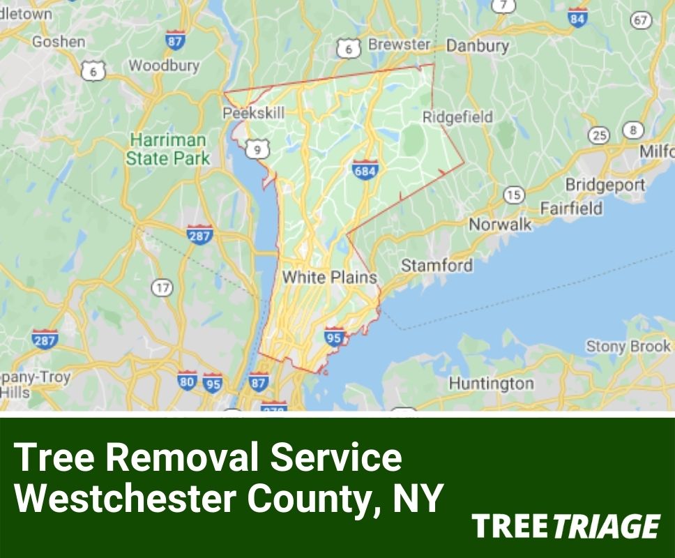 Tree Removal Service Westchester County, NY-1(1)