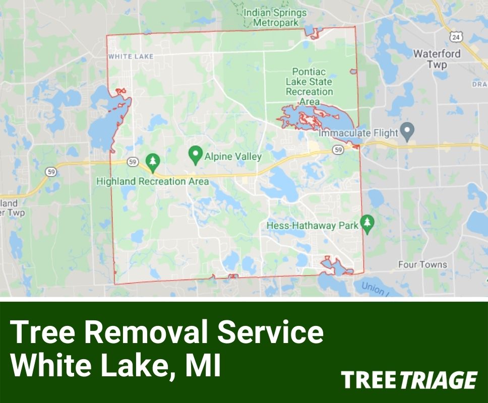 Tree Removal Service White Lake, MI-1