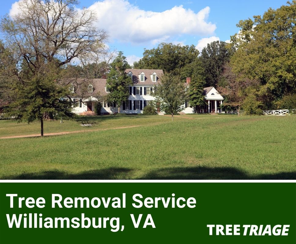 Tree Removal Service Williamsburg, VA-1