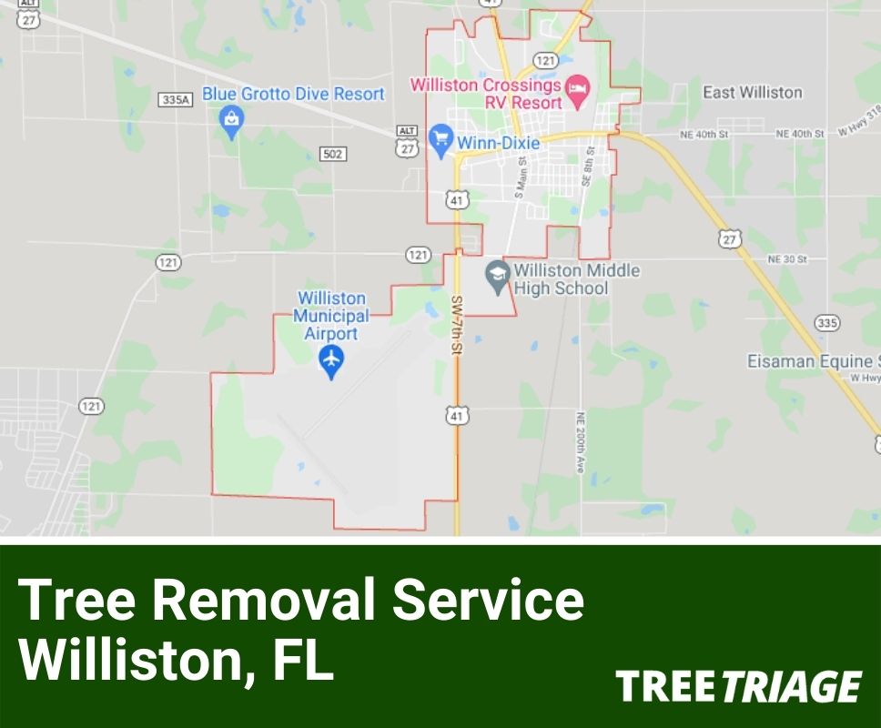 Tree Removal Service Williston, FL-1