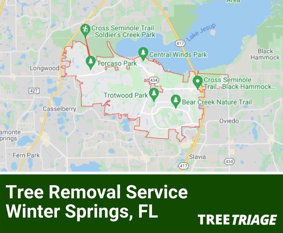 Tree Removal Service Winter Springs, FL-1