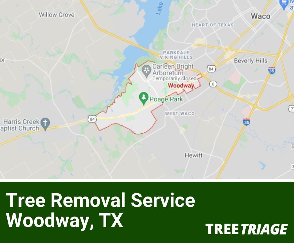 Tree Removal Service Woodway, TX-1