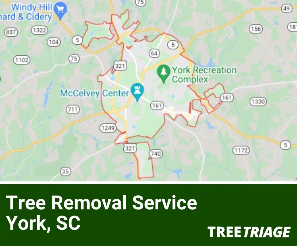 Tree Removal Service York, SC-1