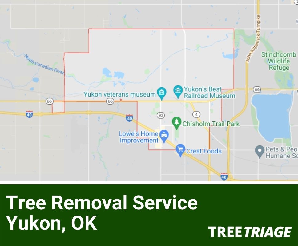 Tree Removal Service Yukon, OK-1(1)