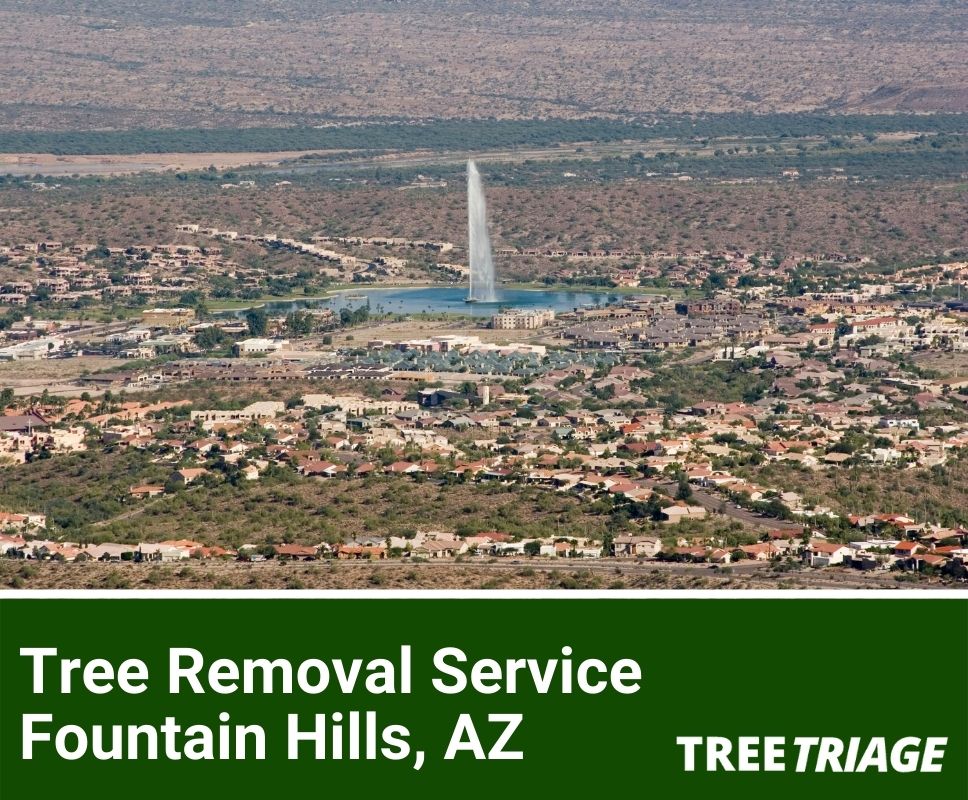 Tree Removal Service Fountain Hills, AZ