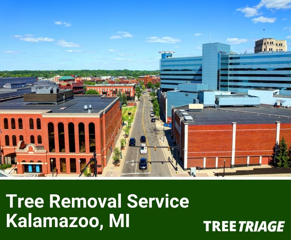 Tree Removal Service Kalamazoo, MI