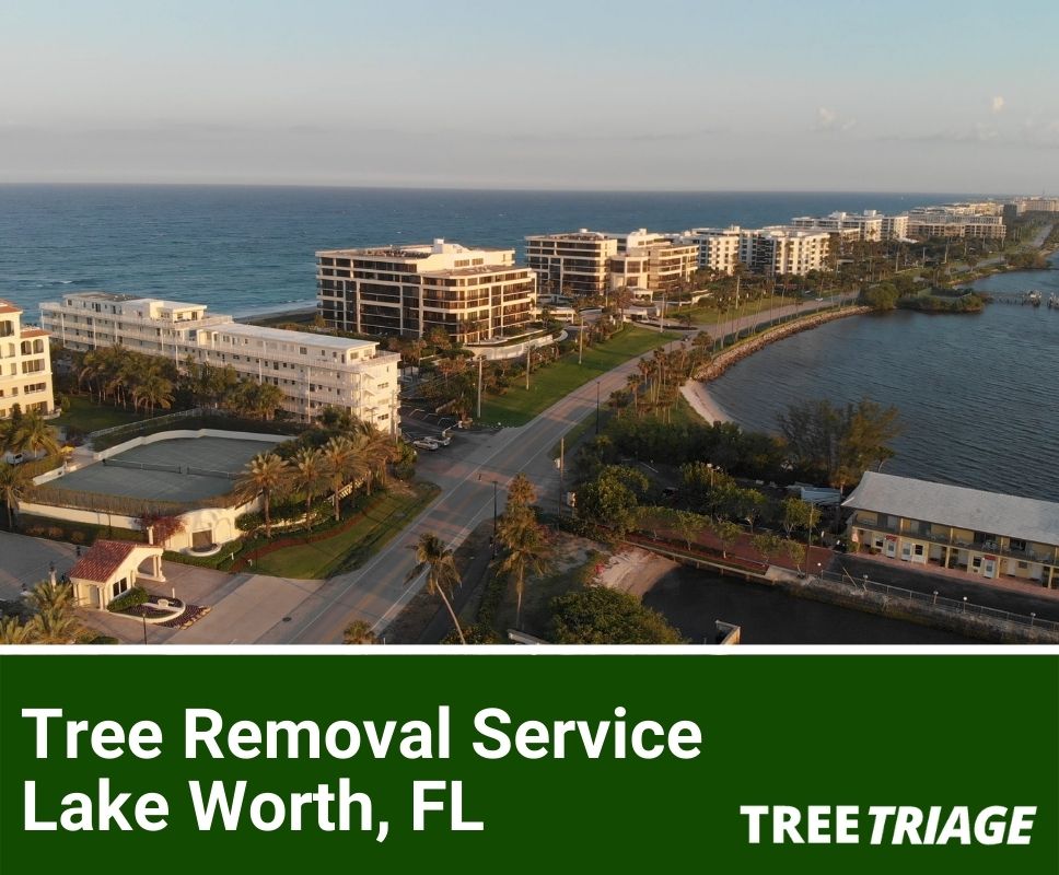 Tree Removal Service Lake Worth, FL