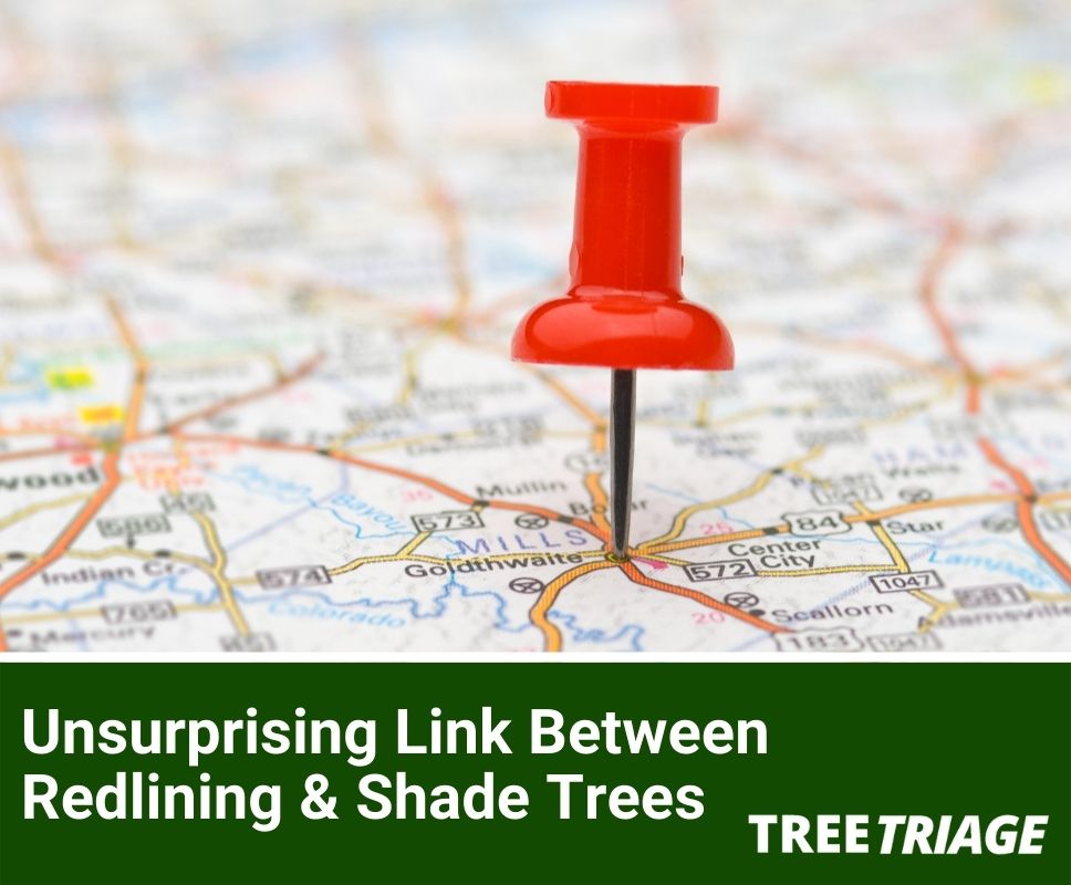 Unsurprising Link Between Redlining & Shade Trees